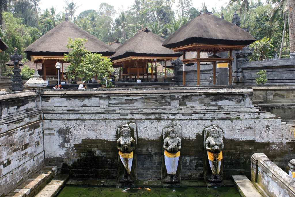 Goa Gajah Elephant Cave Pool Ubud Bali