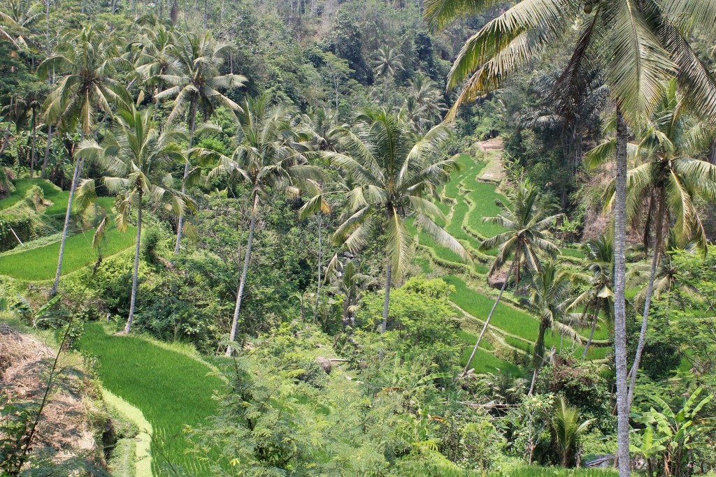 Gunung Kawi Temple Ubud Bali