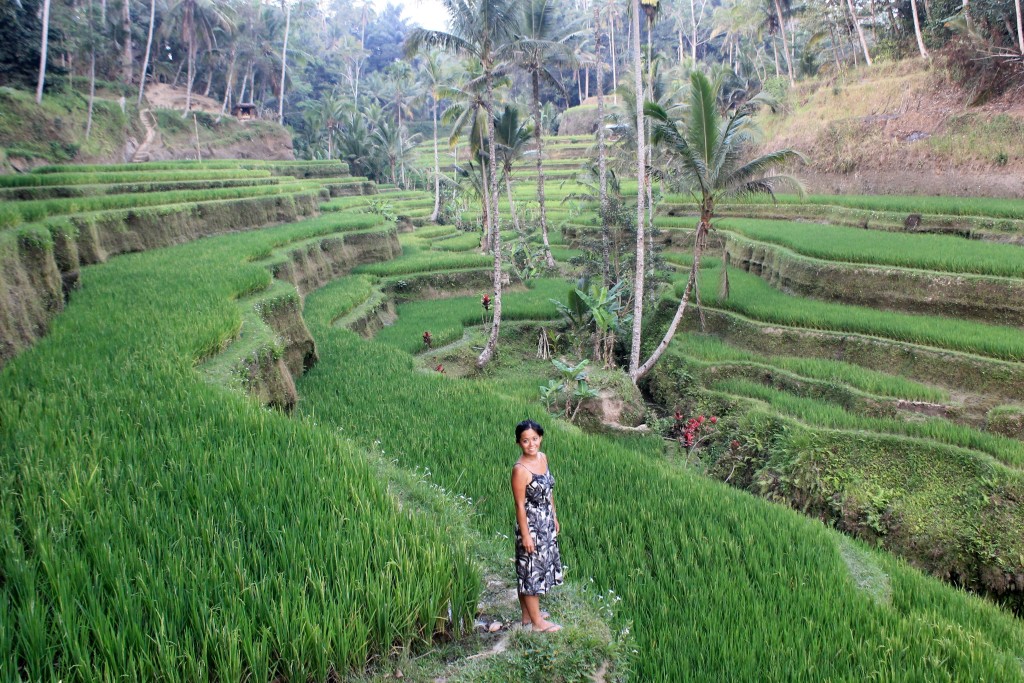 Tegelalang Rice Terraces Ubud Bali
