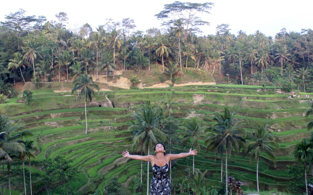 Tegelalang Rice Terraces Ubud Bali