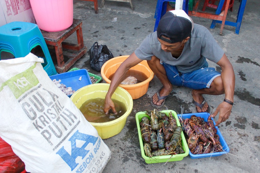 Marron Man Kupang Market
