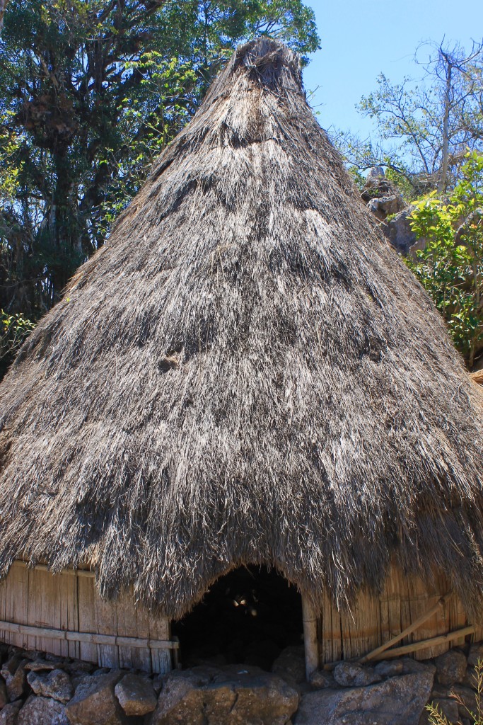 Traditional Hut Tamkessi Village
