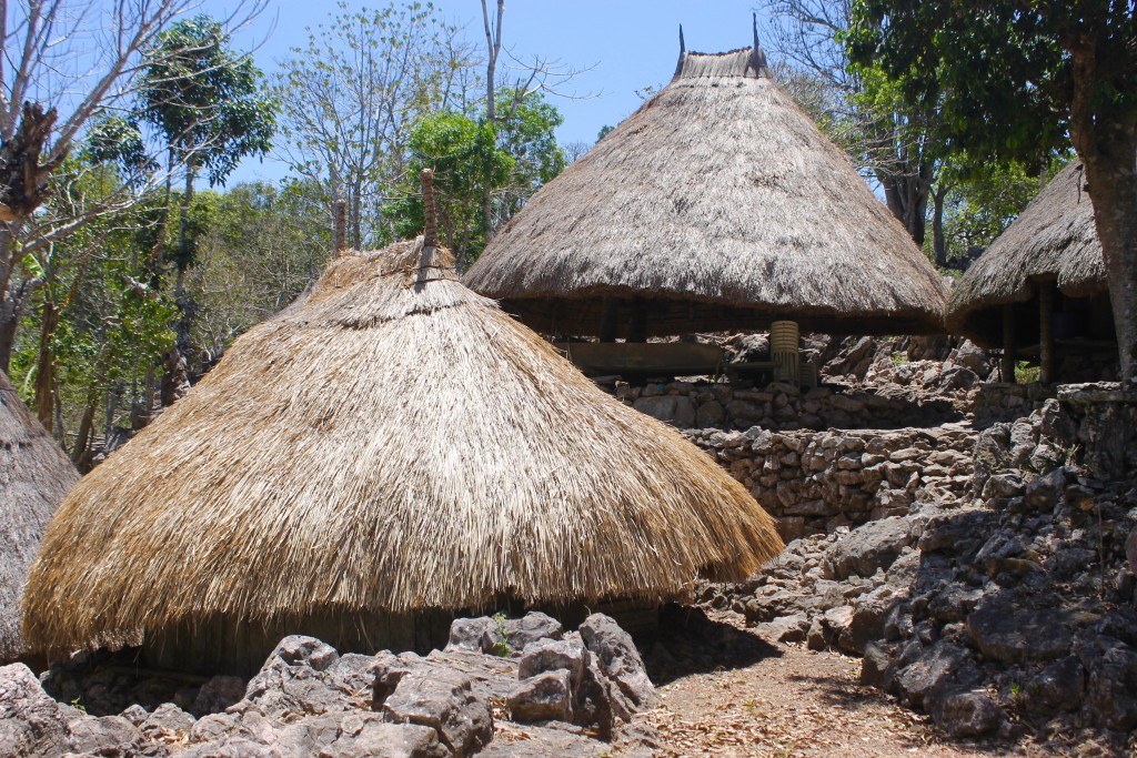 Tamkessi Village Beehive Huts