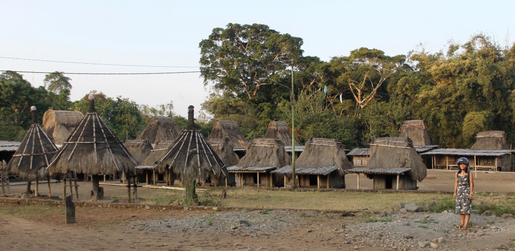 Indonesian Village of Wogo