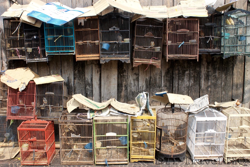 Bird cages at the bird market in Yogya
