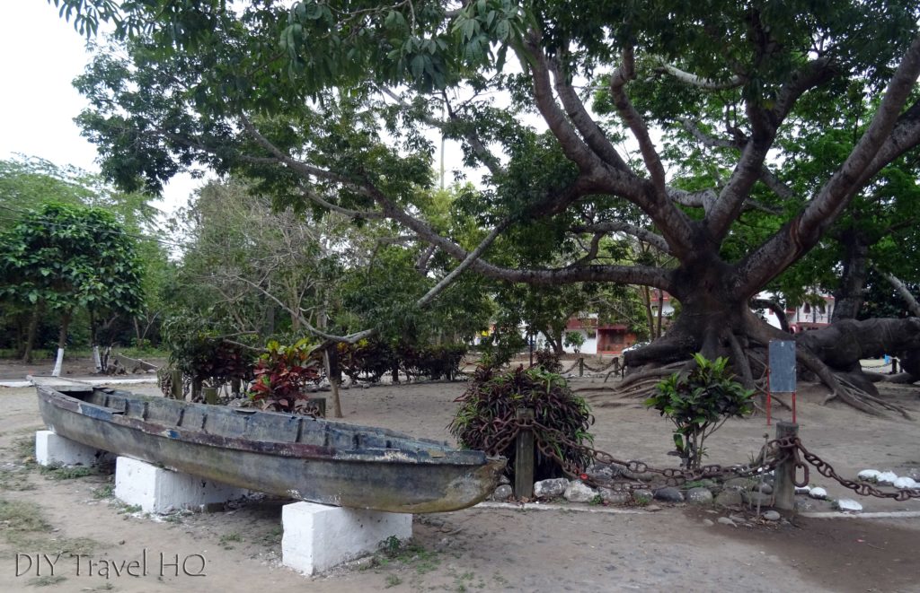 La Antigua Cortez Anchored Tree