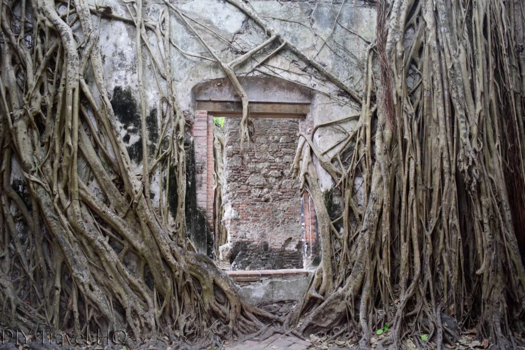 La Antigua Cortez's House Doorway and Roots
