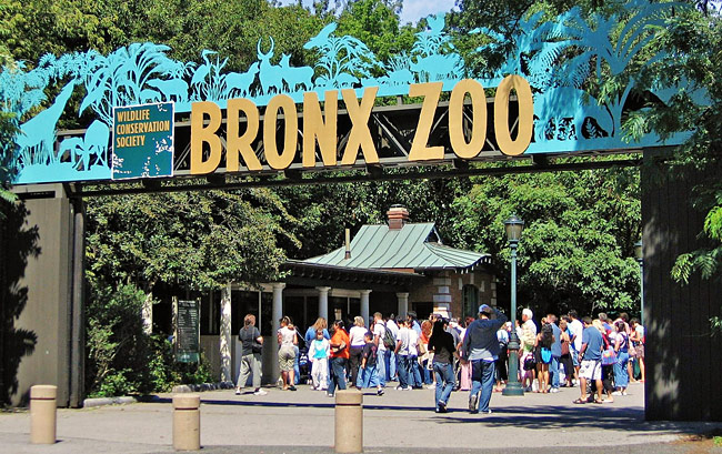 Bronx Zoo Free on Wednesday