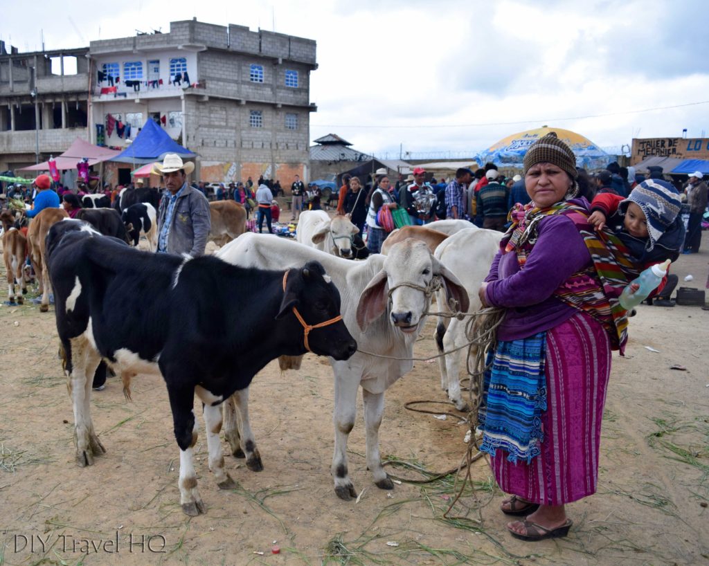 San Francisco El Alto Animal Market Cow Saleswoman