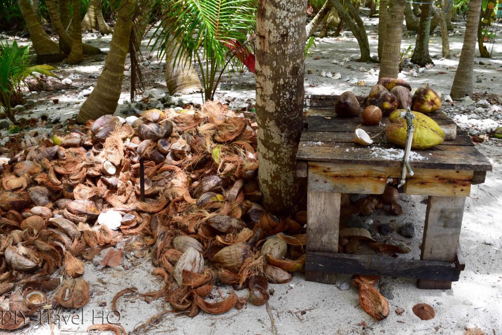 Coconut station on Glovers Atoll