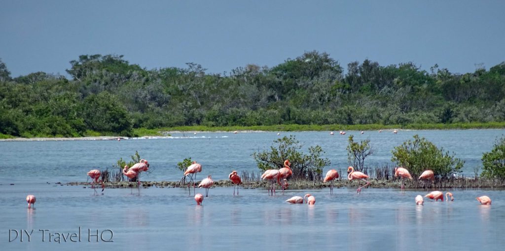 Playa Santa Lucia Laguna el Real Flamingos
