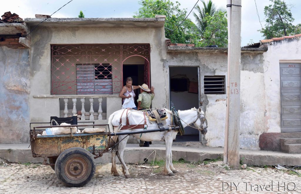 Horse cart & neighbours in Trinidad