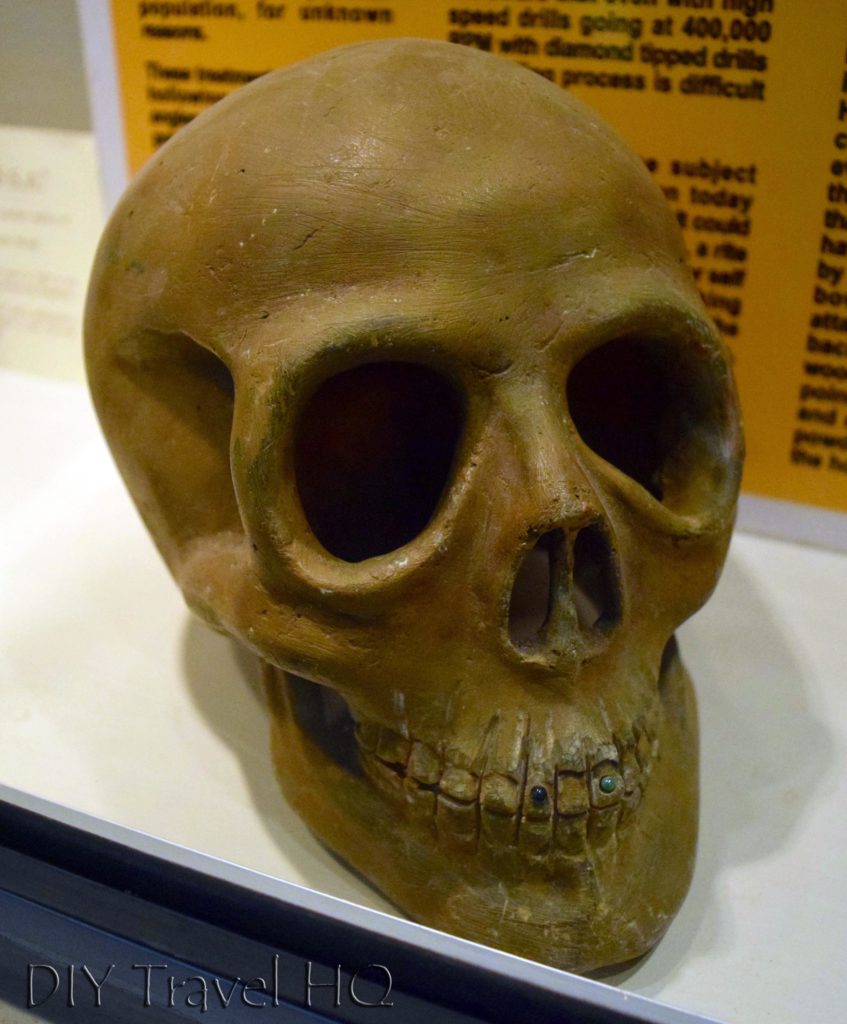Quirigua Skull with Jade Teeth