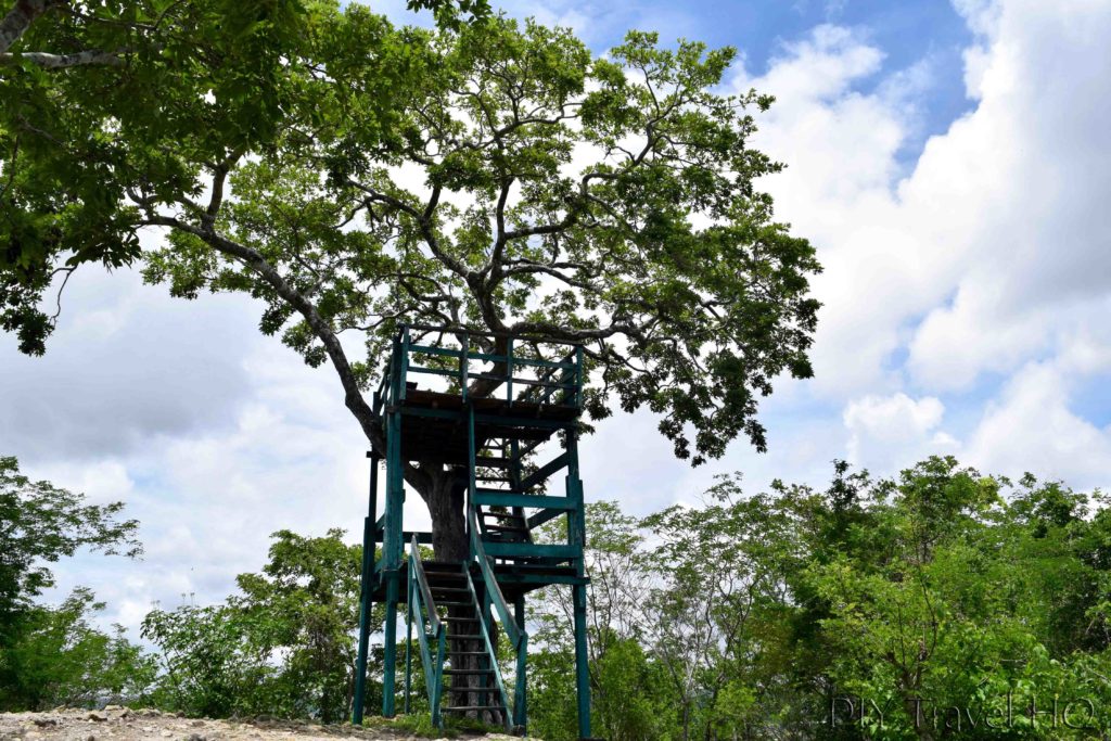 San Miguel Lookout Tower