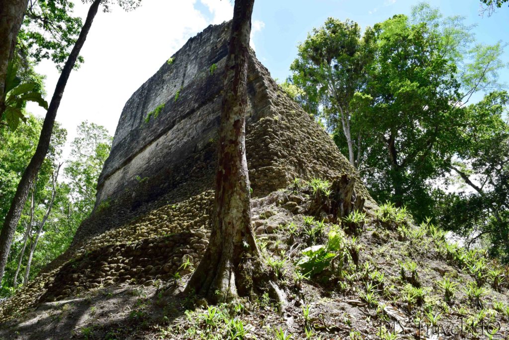 Tikal Temple 38 Side View