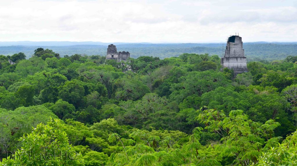 Tikal Ruins Temple IV View Jungle