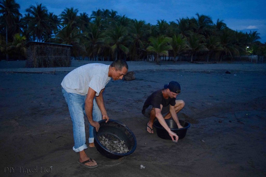 Releasing sea turtles in El Salvador