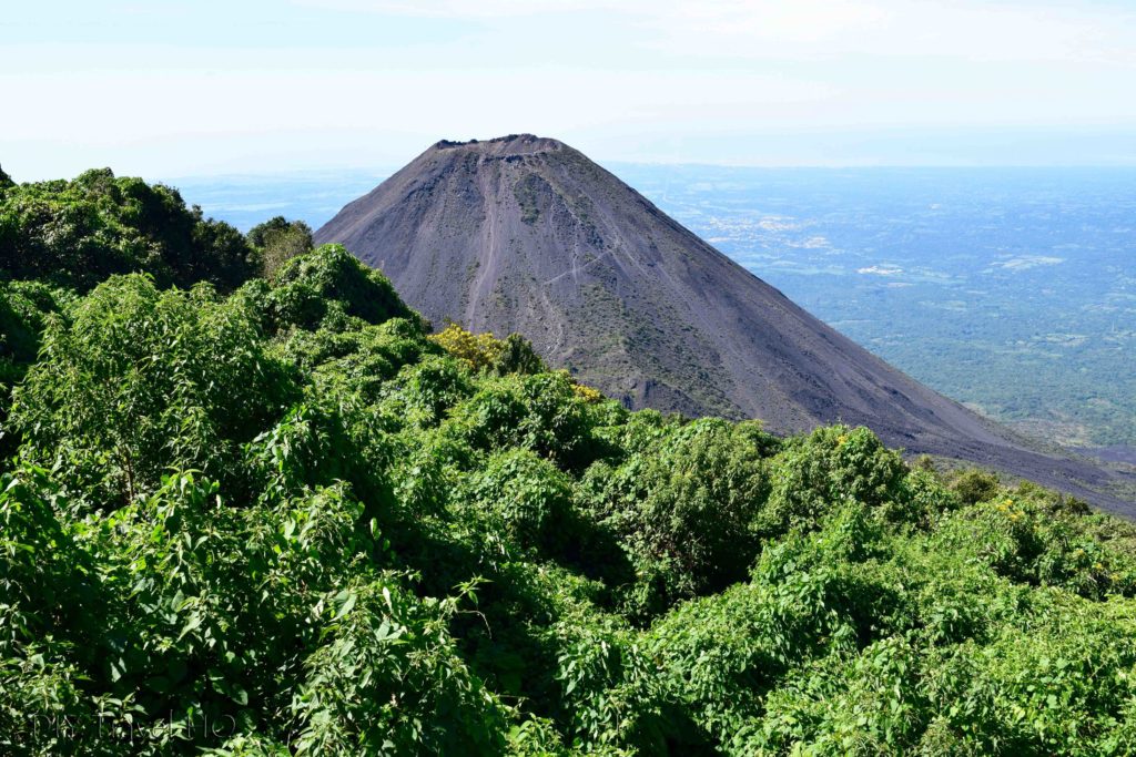 Volcan Izalco View from Cerro Verde