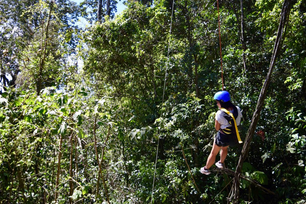 Tarzan Swing Monteverde