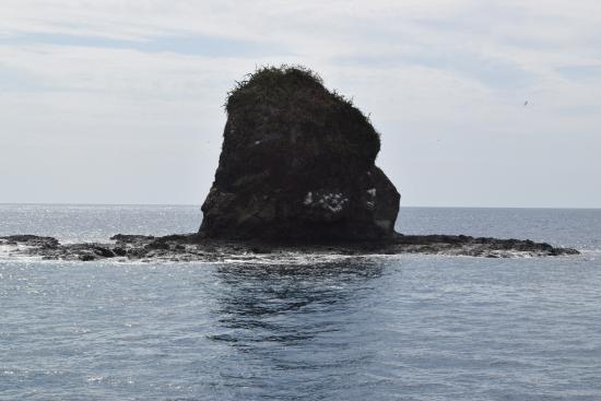Monkey Head Island Playas del Cocos