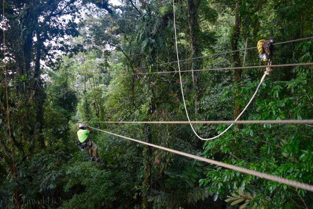 Ecoglide Canopy Zip Line