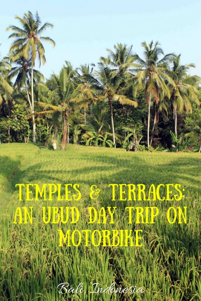 The best of Ubud in Bali, Indonesia lies outside the city center, best explored on motorbike: Goa Gajah, Gunung Kawi, Tirta Empul, Pura Kehen & Tegalalang Rice Terraces.