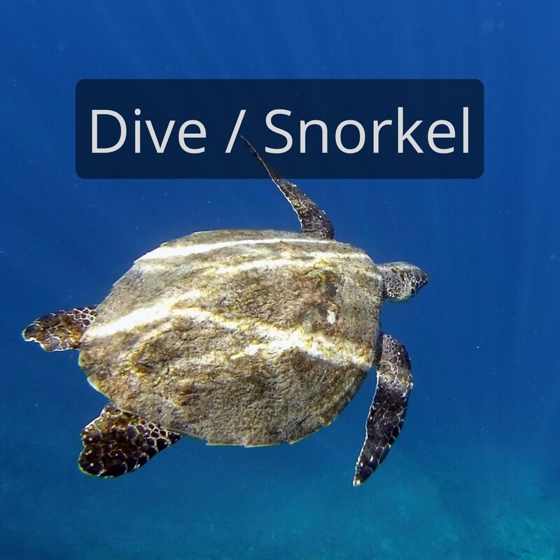 DIY Travel HQ Diving and Snorkeling Travel Blog Posts