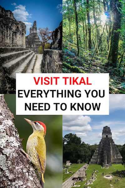 Visiting the Mayan ruins at Tikal, Guatemala is one of the best things to do in Flores. Check out our post to see our top Tikal pictures and find out all our top tips to help you plan your trip #tikal #guatemala #flores #centralamerica