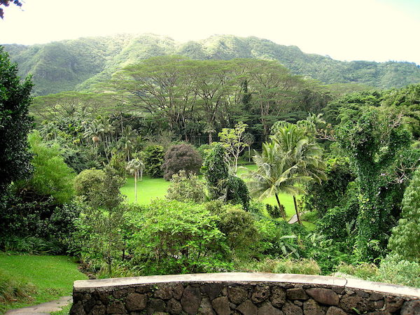 View of Lyon Arboretum - Places to visit in Honolulu