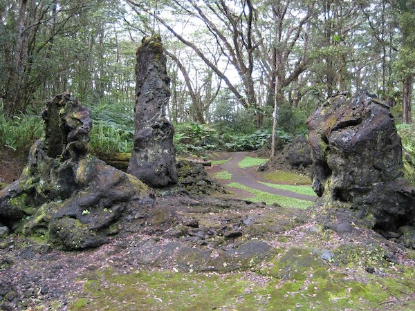 Unusual lava trees in a park - Unique things to do in Oahu