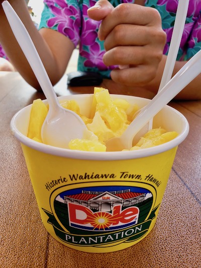 Cup of Dole Whip - Hawaiian food