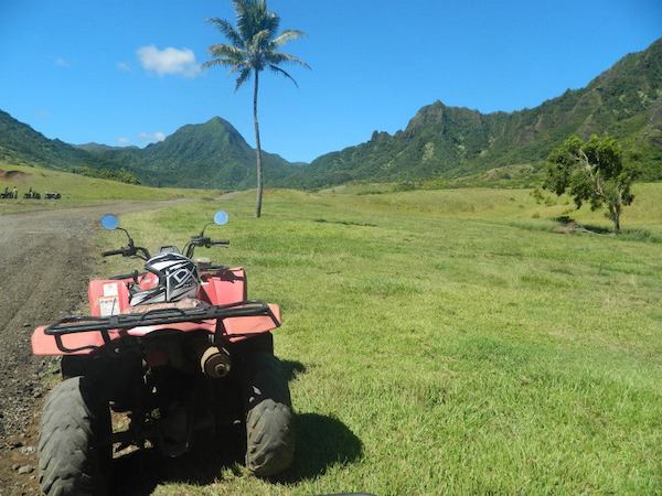 ATV in a field with mountains and palm tree - Oahu tours