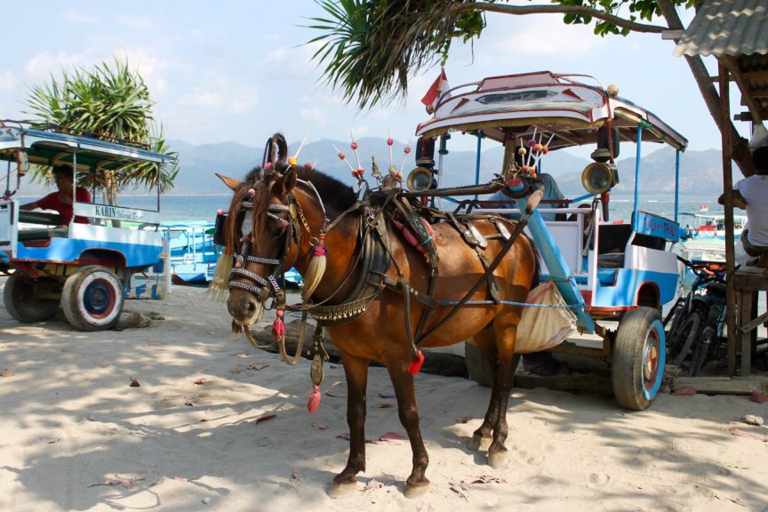 Gili Air Horse Cart