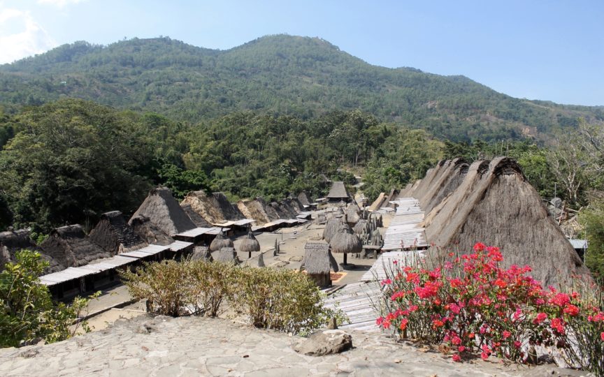 View of Bena Village