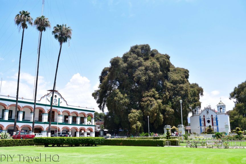 El Tule Tree, Palacio Municipal, and El Templo de Santa Maria de la Asuncion