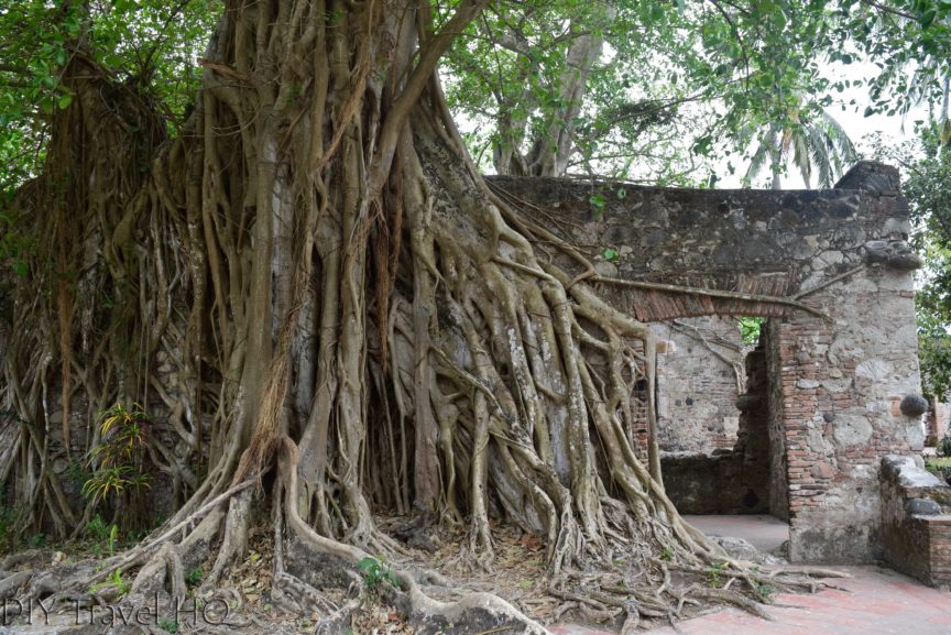 La Antigua Cortez's House Overtaken by Roots