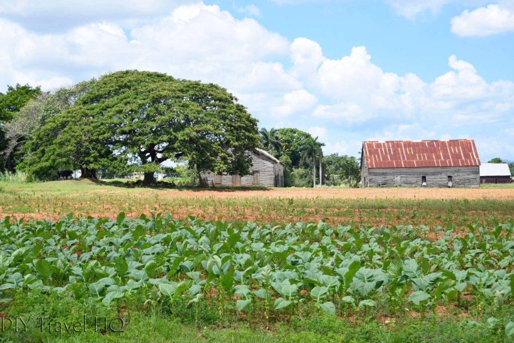 Countryside scenery on walk to Robaina