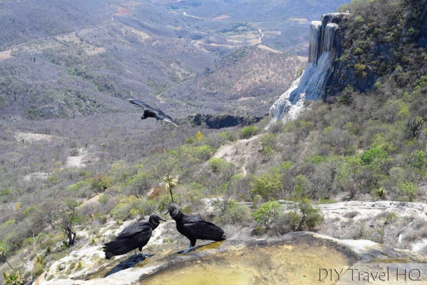 Hierve el Agua Petrified Waterfall and Vultures
