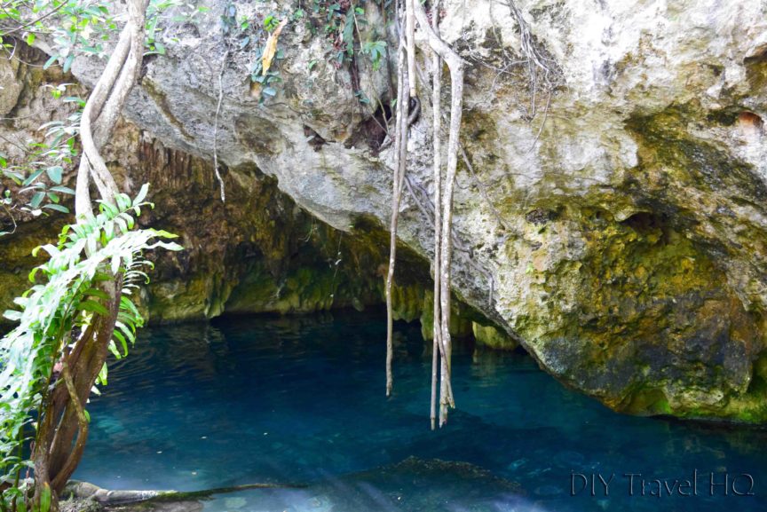 Gran Cenote Tips & Tricks: Is it Worth it?