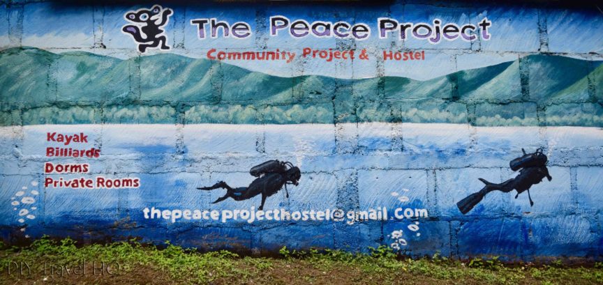 The Peace Project Hostel & NGO