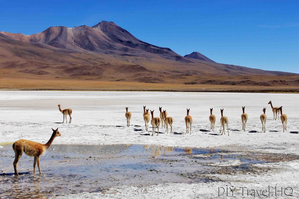 4 Days Tupiza to Uyuni Salt Flats Tour Review - DIY Travel HQ