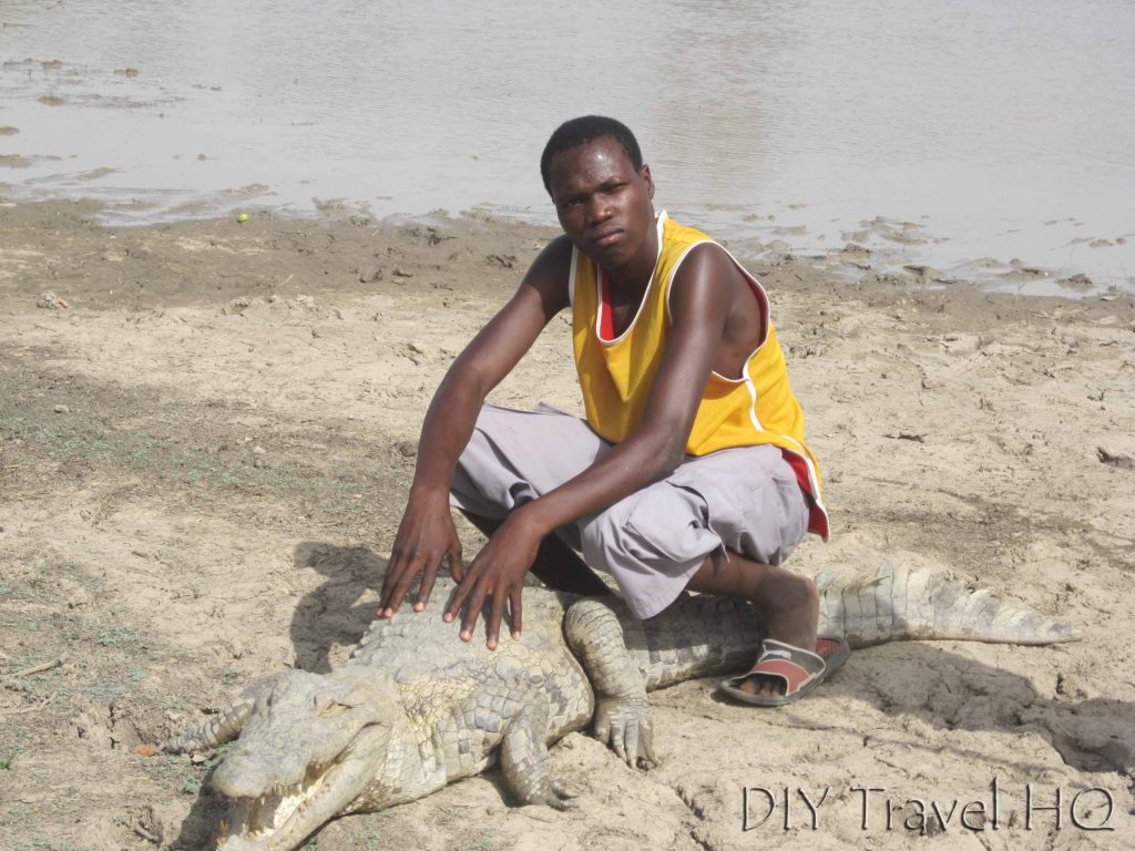 Parc Crocodile De Bazoule Sitting On An African Croc Diy Travel Hq