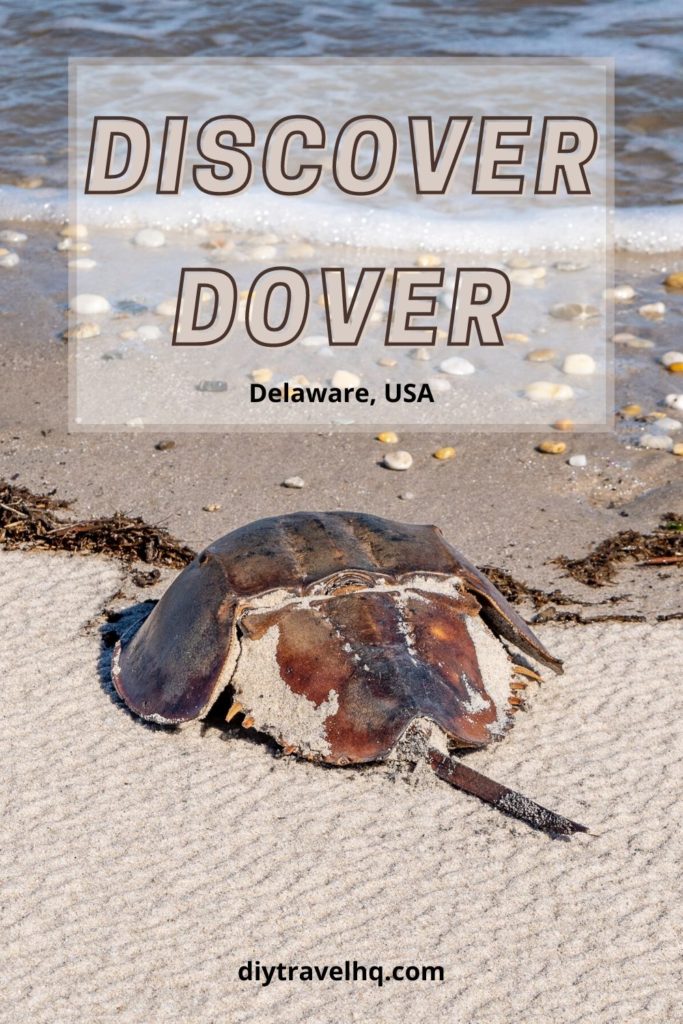 There are so many top things to do in Dover, Delaware from First State Heritage Park packed with first state history to beaches like Pickering Beach that is home to horseshoe crabs.